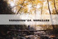 导购网站如何做推广话术，导购网站怎么搭建