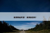 新津网站开发？ 新津县百科？