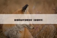 姜堰网站开发哪家好（姜堰网页）