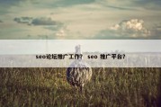 seo论坛推广工作？ seo 推广平台？