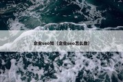 企业seo知（企业seo怎么做）