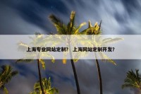 上海专业网站定制？ 上海网站定制开发？