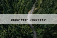 威海网站开发费用？ 公司网站开发费用？