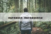 网站开发兼容处理（网站开发兼容处理方案）