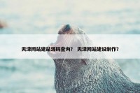 天津网站建站源码查询？ 天津网站建设制作？