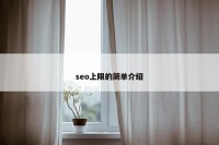 seo上限的简单介绍
