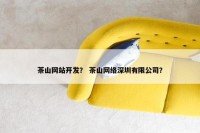 茶山网站开发？ 茶山网络深圳有限公司？
