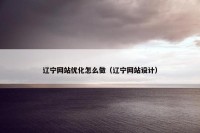 辽宁网站优化怎么做（辽宁网站设计）