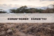 青岛网站推广供应商服务？ 青岛网站推广外包？