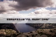 常德网站开发怎么推广产品，网站做好了怎样推广