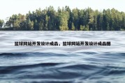 篮球网站开发设计成品，篮球网站开发设计成品图