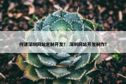 何谓深圳网站定制开发？ 深圳网站开发制作？