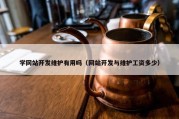 学网站开发维护有用吗（网站开发与维护工资多少）