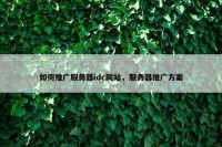 如何推广服务器idc网站，服务器推广方案