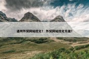 通州外贸网站优化？ 外贸网站优化方案？