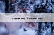 在日照推广网站（日照微信推广平台）