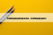 天津网站建站源码查询系统（天津网站建设制作）