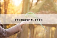 平谷区网站定制开发，平谷平台