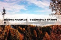 智能营销型网站定制方案，智能营销型网站定制方案有哪些
