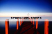 贵州专业网站开发费用，贵州网页开发