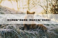 优化网站推广排名教程（网站优化推广优化排名）
