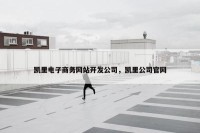 凯里电子商务网站开发公司，凯里公司官网