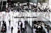 温州seo教程（温州seo技术）