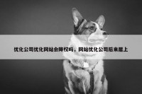 优化公司优化网站会降权吗，网站优化公司后来居上