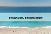 泰州招商网站定制，泰州招商网站定制公司