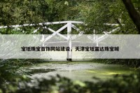 宝坻珠宝首饰网站建设，天津宝坻富达珠宝城