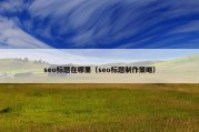 seo标题在哪里（seo标题制作策略）