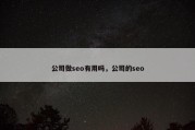 公司做seo有用吗，公司的seo