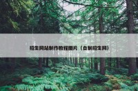 招生网站制作教程图片（自制招生网）