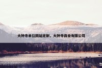 大钟寺单位网站定制，大钟寺商业有限公司