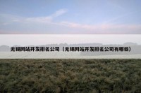 无锡网站开发排名公司（无锡网站开发排名公司有哪些）