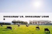 苏州市优化网站推广公司，苏州市优化网站推广公司有哪些