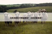 火影忍者本子网站建设？ 火影忍者本彩？