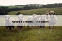 火影忍者本子网站建设？ 火影忍者本彩？
