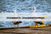 河东定制网站开发（河东定制网站开发招聘信息）