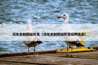 河东定制网站开发（河东定制网站开发招聘信息）