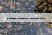 审计简历制作网站推荐哪个（审计的简历怎么写）