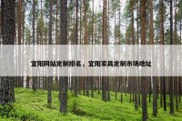 宜阳网站定制排名，宜阳家具定制市场地址