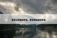 泰安公司网站开发，泰安网站建设开发