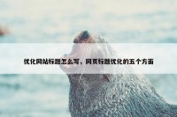 优化网站标题怎么写，网页标题优化的五个方面