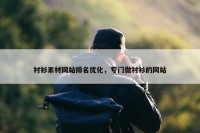 衬衫素材网站排名优化，专门做衬衫的网站