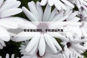 安卓建站源码，手机建站开源