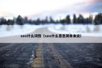 seo什么词性（seo什么意思简单来说）