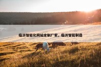 临沂智能化网站定制厂家，临沂智能制造