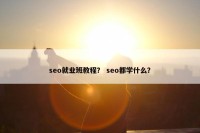 seo就业班教程？ seo都学什么？