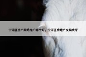 宁河区房产网站推广哪个好，宁河区房地产交易大厅